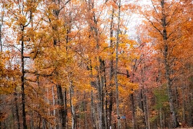 0 Clear Brooks Dr unit RTC3061478, Signal Mountain, TN 37377 - photo 4