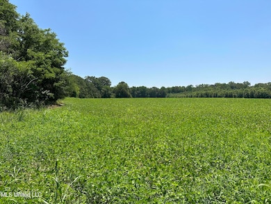 Field