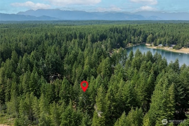 200 NE Lakeshore Dr S, Tahuya, WA 98588 - photo 4