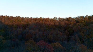 0 Rock Springs Rd unit RTC3049751, Celina, TN 38551 - photo 6