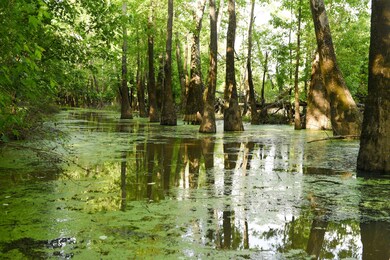 0 Glendale Rd unit RTC2887106, Morris Chapel, TN 38361 - photo 2