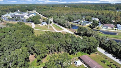 16906 Lakeshore Rd, Lutz, FL 33558 - photo 7