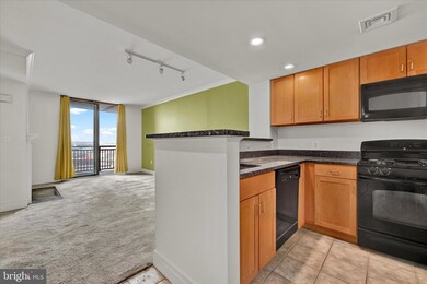 414 Water St unit 2506, Baltimore, MD 21202 - photo 4