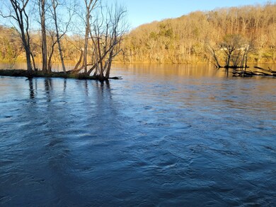 2400 Holston Shores Dr, Rutldge, TN 37861 - photo 5