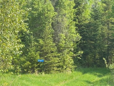 67552 Tranquility Trail, Effie, MN 56639 - photo 7