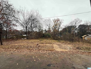 6515 3rd Ave S, Birmingham, AL 35212 - photo 3