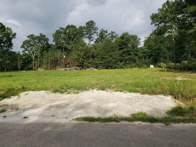 30711 Collier Smith Rd, Magnolia, TX 77354 - photo 5