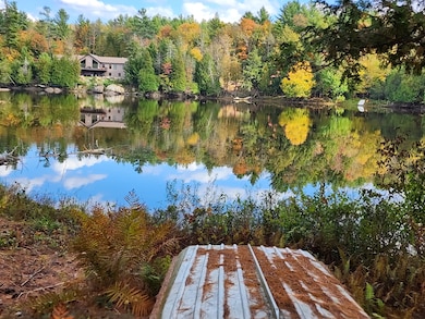 13331 Henry Rd, Diana Center, NY 13648 - photo 3