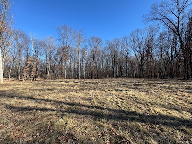 14775 Stutz St NE, Ham Lake, MN 55304 - photo 3