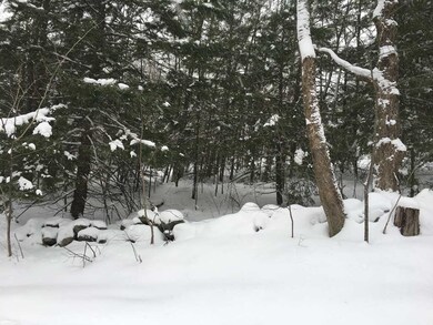 0 Bridgewater Hill Rd, Bridgewater, NH 03222 - photo 7