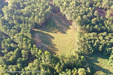 DJI_0512