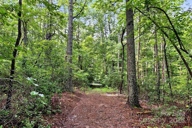 2361 Lake Forest Cove unit 13, Nebo, NC 28761 - photo 6