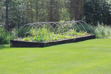 backgarden