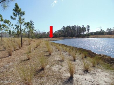 5022 Stoney Point Dr, Leland, NC 28451 - photo 5