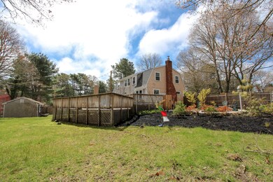 Deck & Yard
