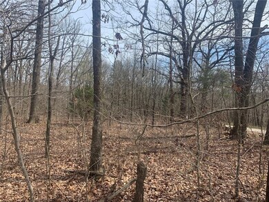 0 Kings Lynn Ln unit 1143367, Bella Vista, AR 72715 - photo 6