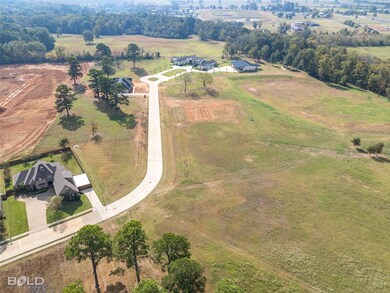 Bird's eye view featuring a rural view