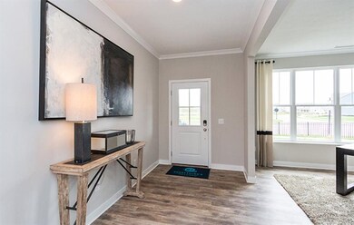 12009 Sonoran Run, Fishers, IN 46040 - photo 3