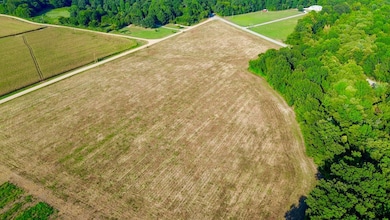 0000 Highway 41, Paragould, AR 72450 - photo 7