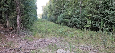 0000 Old Sellers Rd, Ramer, AL 36069 - photo 3