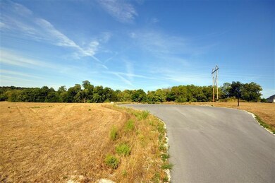 1611 Regency Ln, Union Chapel Township, MO 65714 - photo 4