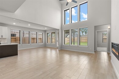 Windows!! Tons of beautiful natural light!