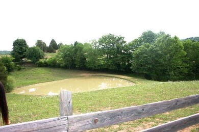 pond