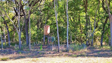 000 Bee Creek Rd, Grandview, TX 76050 - photo 4
