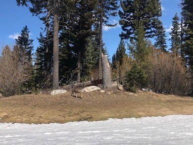 View from Golf Course