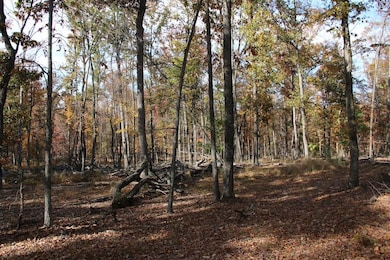 0 Easter Ridge Ln unit LotWP008 23743105, Gainesboro, VA 22603 - photo 5