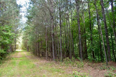 0 Nickelsville Rd NW unit 20148653, Resaca, GA 30735 - photo 2