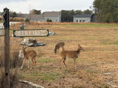 441 Deer Lake Place, Bronston, KY 42518 - photo 4