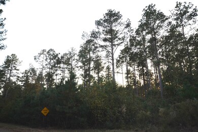 00, Buckner, AR 71827 - photo 2