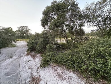 206 Rhythm Dr, Lake Placid, FL 33852 - photo 3