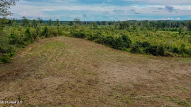 DJI_0187