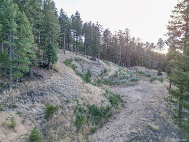 26779 Fern Gulch Rd, Evergreen, CO 80439 - photo 5