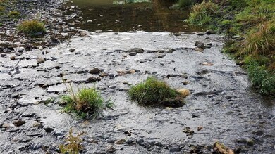 0 E Roxbury Rd, Northfield, VT 05663 - photo 5