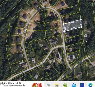 29 Stone Ridge tax grid overhead