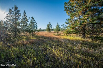 NNA Arden Ln Lot 2, Athol, ID 83801 - photo 6