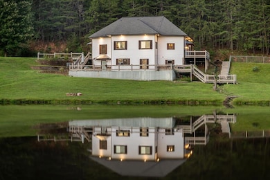 2637 River Rd, Mineral Bluff, GA 30559 - photo 3