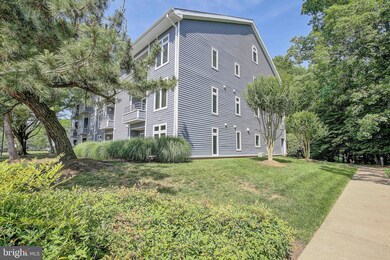 1130 Lake Heron Dr unit 3A, Annapolis, MD 21403 - photo 3