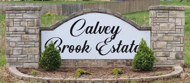 556 Calvey Heights Ct, Robertsville, MO 63072 - photo 3