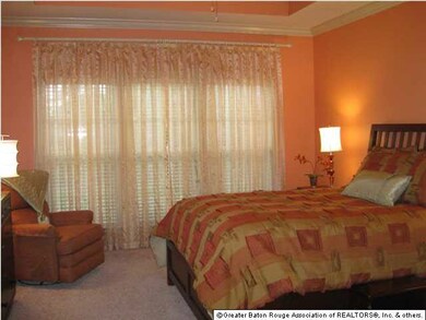 Large master bedroom with tray ceiling