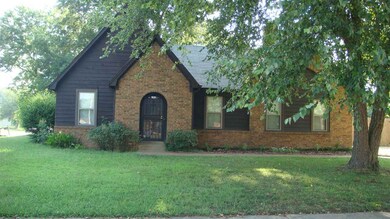 Shade tree in the front lawn.