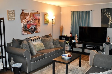 1420 N Ford St, Lapel, IN 46051 - photo 4