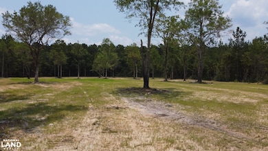 0 Steed Creek Rd unit 25684026, Huger, SC 29450 - photo 5