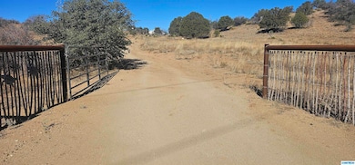 46 Fargo Trail, Silver City, NM 88061 - photo 6