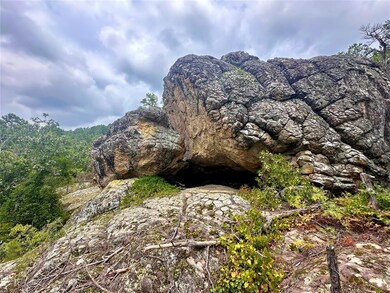 123 Sherman Rd, Moyers, OK 74523 - photo 5