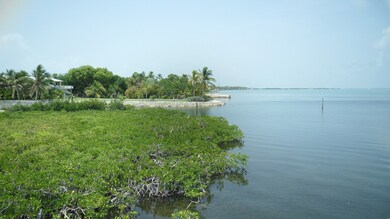 View from Deck