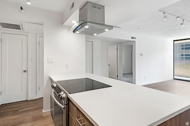 Kitchen featuring island exhaust hood, electric range, light wood-style flooring, and rail lighting